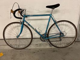 Allegro Subito Mistral Rennrad