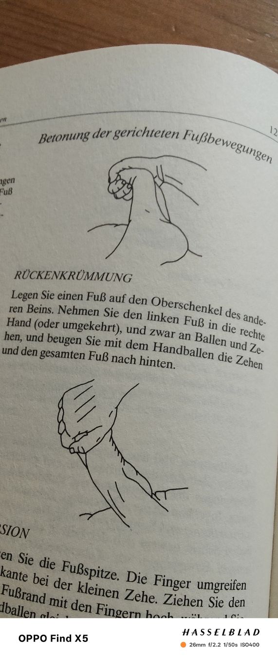 Libri: Reflexzonenmassage – Nuovo (secondo la descrizione) da Volken venduto da katz5 3