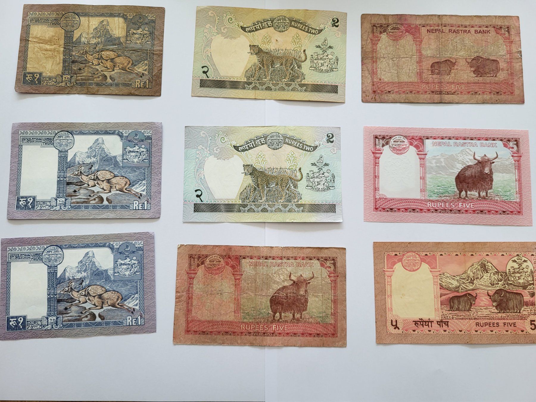 Banconote: Banknoten aus Nepal – Usato da Pravidondaz venduto da LVtik 2
