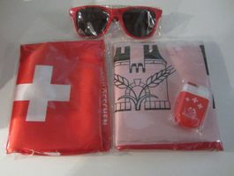 Feldschlösschen CH-Fan-Set, Schminke, Sonnenbrille, Schal