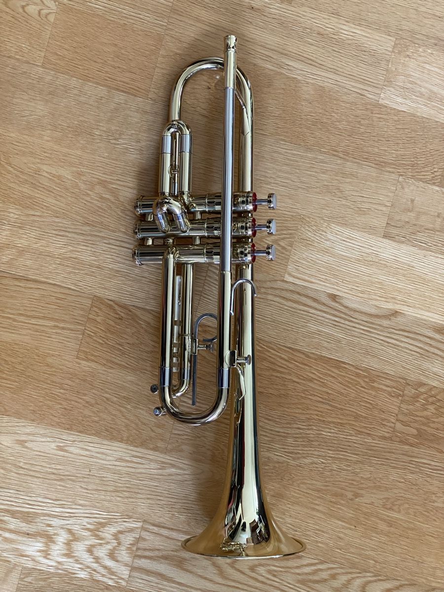 Strumenti musicali: GETZEN 300 Series Elkhorn U.S.A – Usato da Sissach venduto da Seraphine1 3