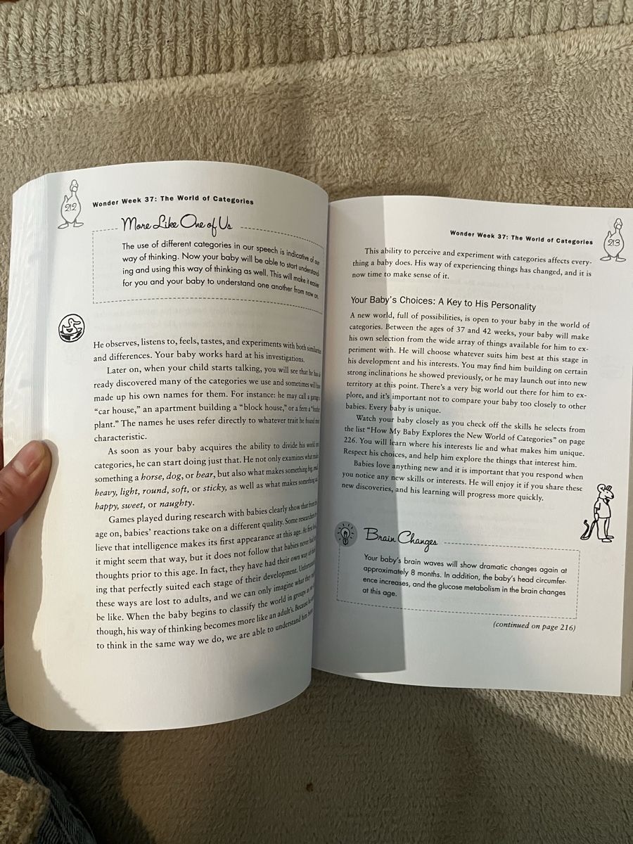 Libri: The Wonder Weeks: Baby Development Guide - Great Condition – Nuovo (secondo la descrizione) da Romont FR venduto da Anna_dematos 2
