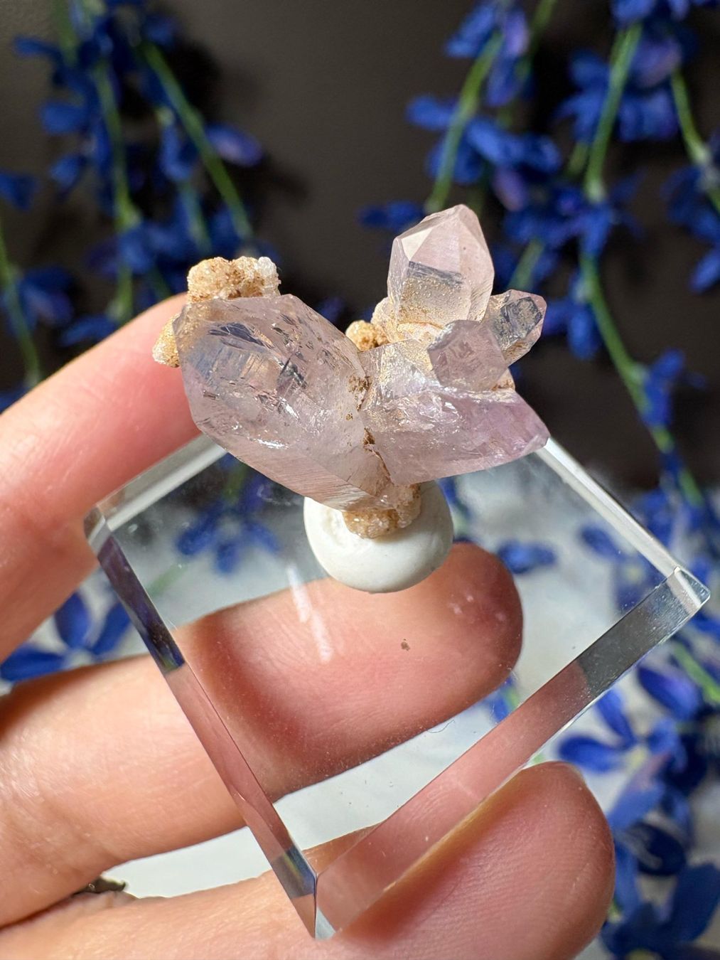 Pietre preziose: Veracruz Amethyst – Nuovo (secondo la descrizione) da Neuheim venduto da m.hald 2