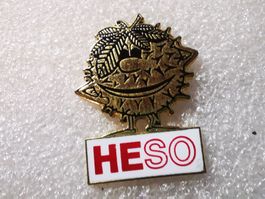 Ansteckpin 20: Heso