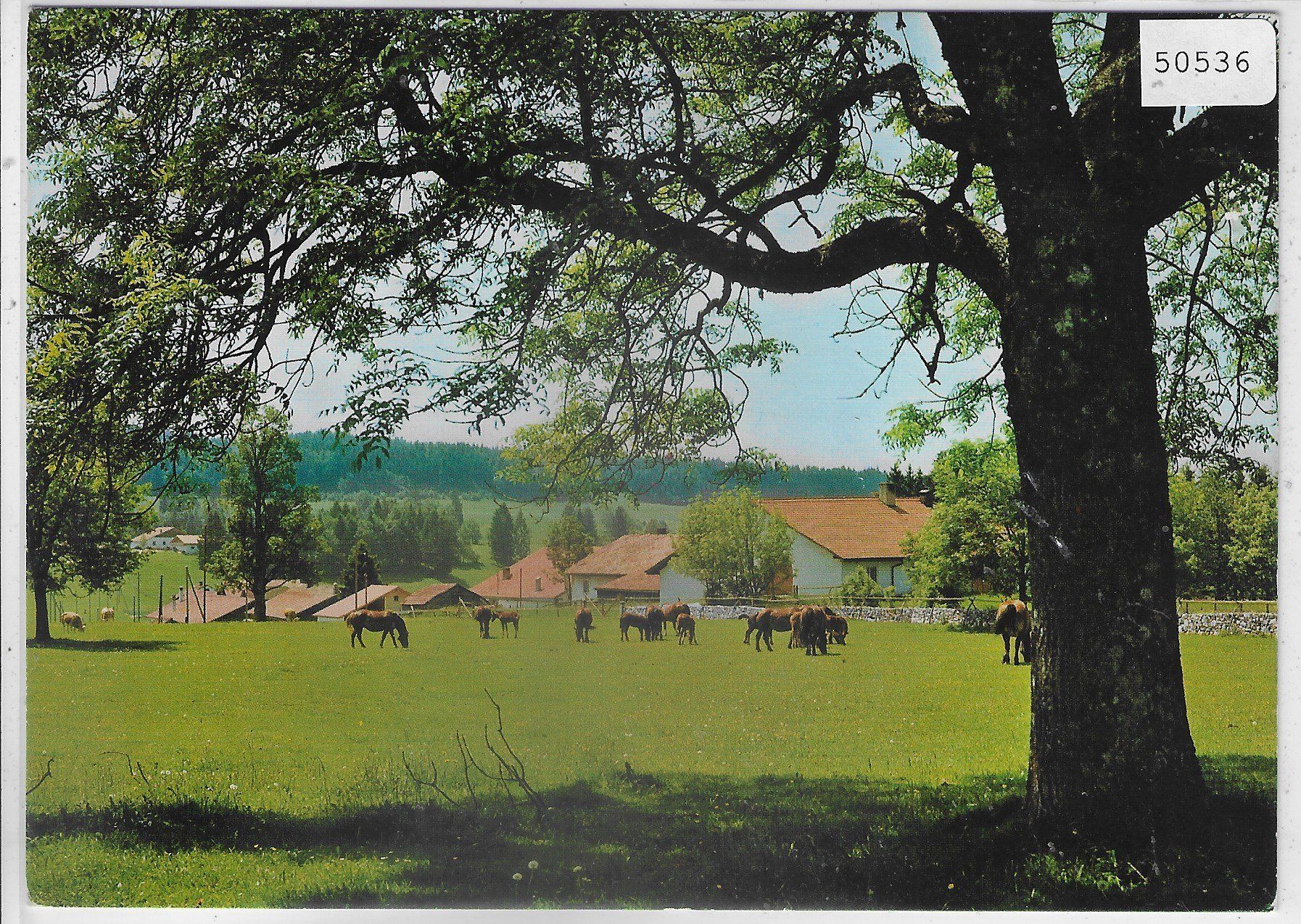 Cartoline postali: Jura mit Pferdeweide – Usato da Ettingen venduto da Kartenplanet