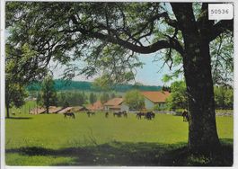 Jura mit Pferdeweide