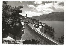 San Nazzaro - Gambarogno (TI) Lago Maggiore - Foto-AK - 1959