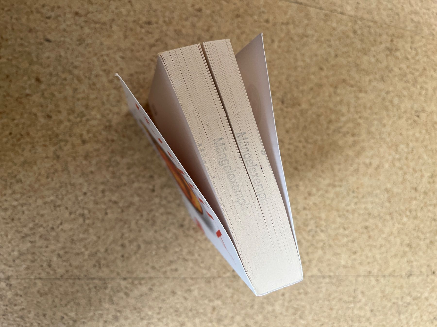 Libri: Taschenbuch "Ambra", Sabrina Janesch – Usato da Grosswangen venduto da Vita500 2