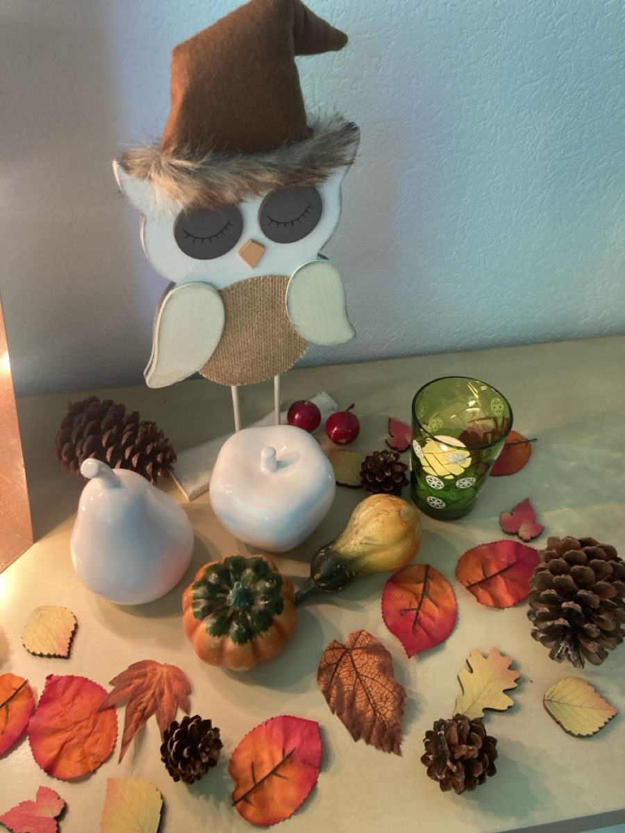 Tutte le decorazioni: Herbst-Deko-Set – Usato da Selzach venduto da SB09