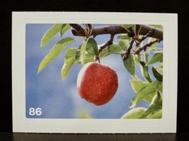 MIGROS MANIA Nature Detectives Nr. 86