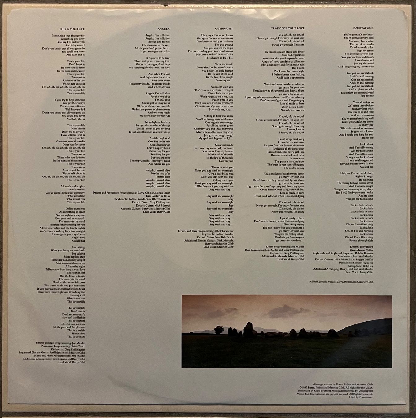 Dischi in vinile: BEE GEES - E-S-P - 33 Tours – Usato da Bussigny venduto da vinyl-pas-cher 4