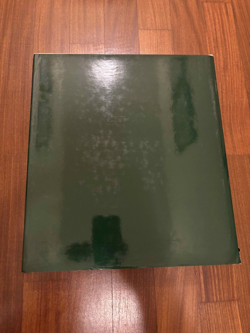 Libri: La Galleria del Duca di Parma – Usato da Lugano venduto da Mark_Young 3