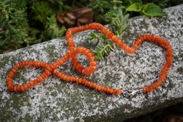 Feuer Karneol  Kette   mit Silberverschluss  TOPSTONE