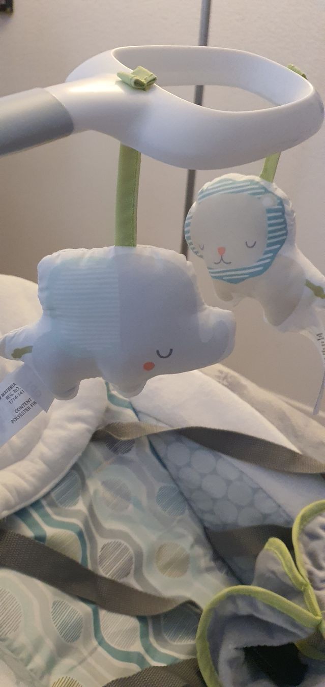 Sonstige Gartenschaukeln: Ingenuity Baby Swing Schaukel – Neu (gemäss Beschreibung) aus Schlieren von Stefi1987 2