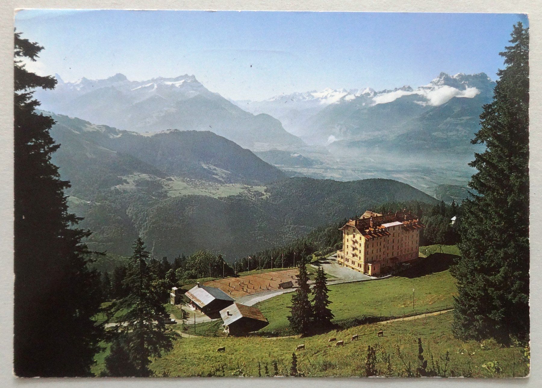 Cartoline postali: Leysin, les Chamois – Usato da Fétigny venduto da Billy2miny
