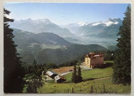 Leysin, les Chamois