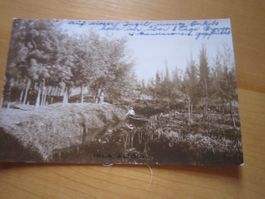 No 8 Postkarte ISLA ALICIA 1926
