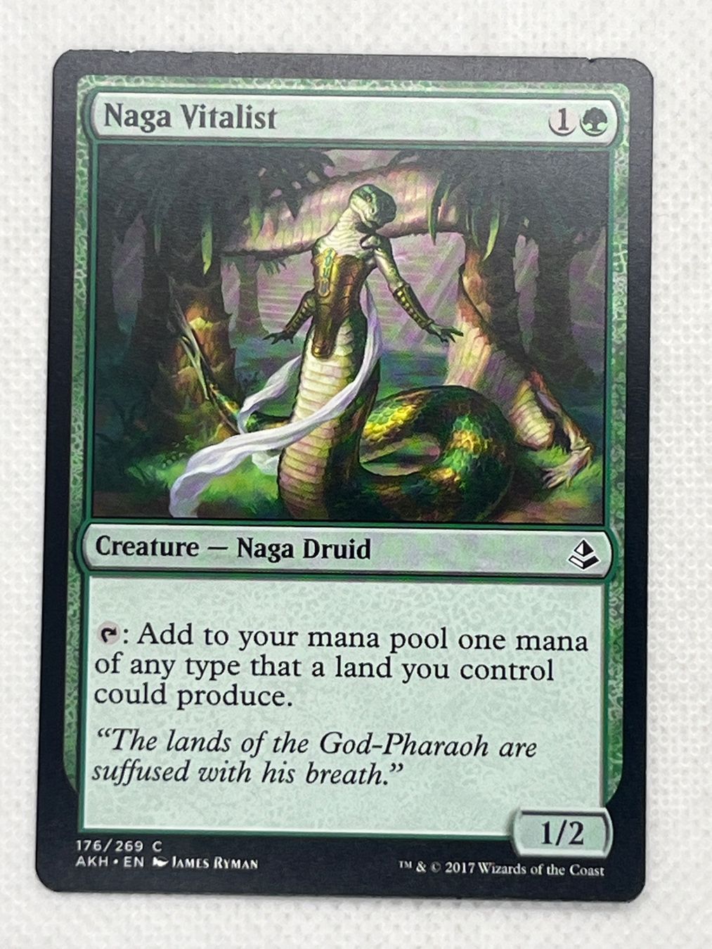 Magic The Gathering Carte collezionabili: Magic: The Gathering - Naga Vitalist - Common – Usato da Hinterkappelen venduto da Kim1992