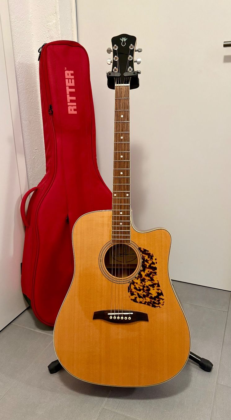 Strumenti musicali: Levinson LDC-25 - Dreadnought Cutaway – Usato da St-Séverin venduto da L_M_