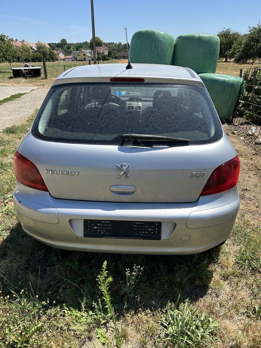 Peugeot Autos: Peugeot 307 2.0i – D'occasion à Neuendorf par 312vario91 2