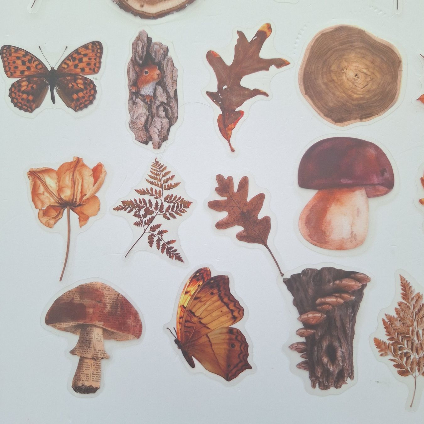 Sticker: 50 Aufkleber Sticker - Herbst – Nuovo e nell'imballaggio originale da Basel venduto da Kunterbunt12 6