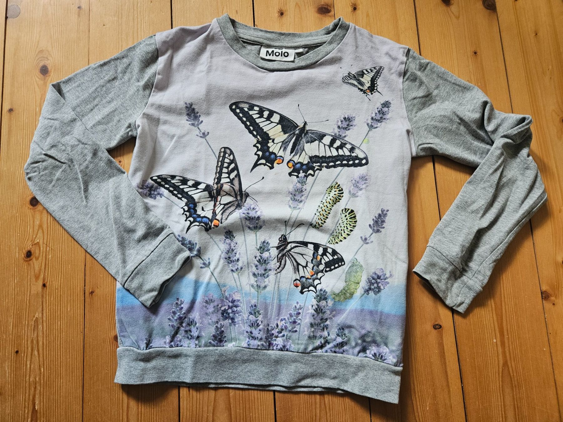 Molo Blusen, T-Shirts & Tops: Wunderschönes Molo Shirt 128 – Gebraucht aus Rifferswil von fle_5nqr