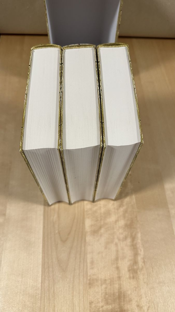 Libri: Göttlich-Trilogie Schuber - Josephine Angelini – Usato da Schönenwerd venduto da palaceofwords 4