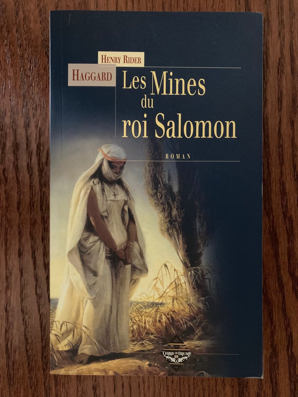 Libri: TERRE DE BRUME ÉDITIONS - 27 titres – Usato da Vandoeuvres venduto da ngc_9qj2 2