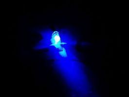 LED 3mm verkabelt, 12V DC, UV