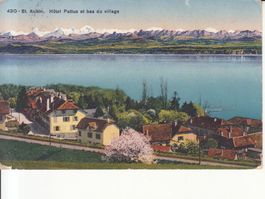 St. Aubin Pattus 1919