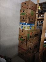 12 Bananeschachteln
