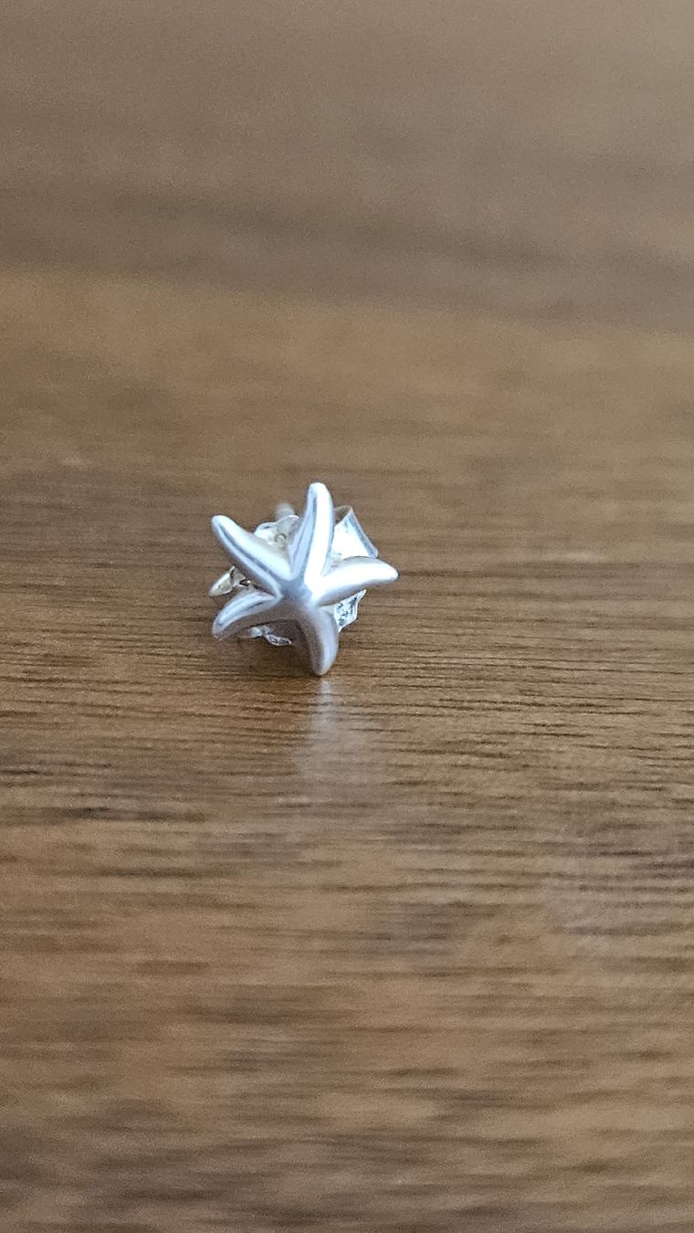 Thomas Sabo Boucles d'oreille: Thomas Sabo einzelner Ohrstecker Seestern Silber 925 – D'occasion à Bern par Sabulise