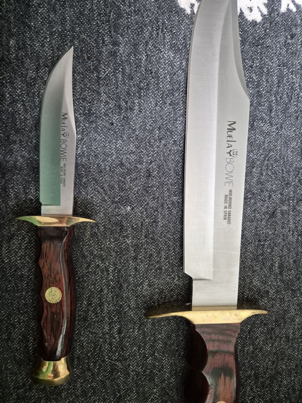 Muela Accessori: MuelaJagdmesser Set, Leder Scheide – Usato da Binningen venduto da rom_9ls7 2
