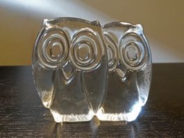 Eule / Eulenpaar aus Glas