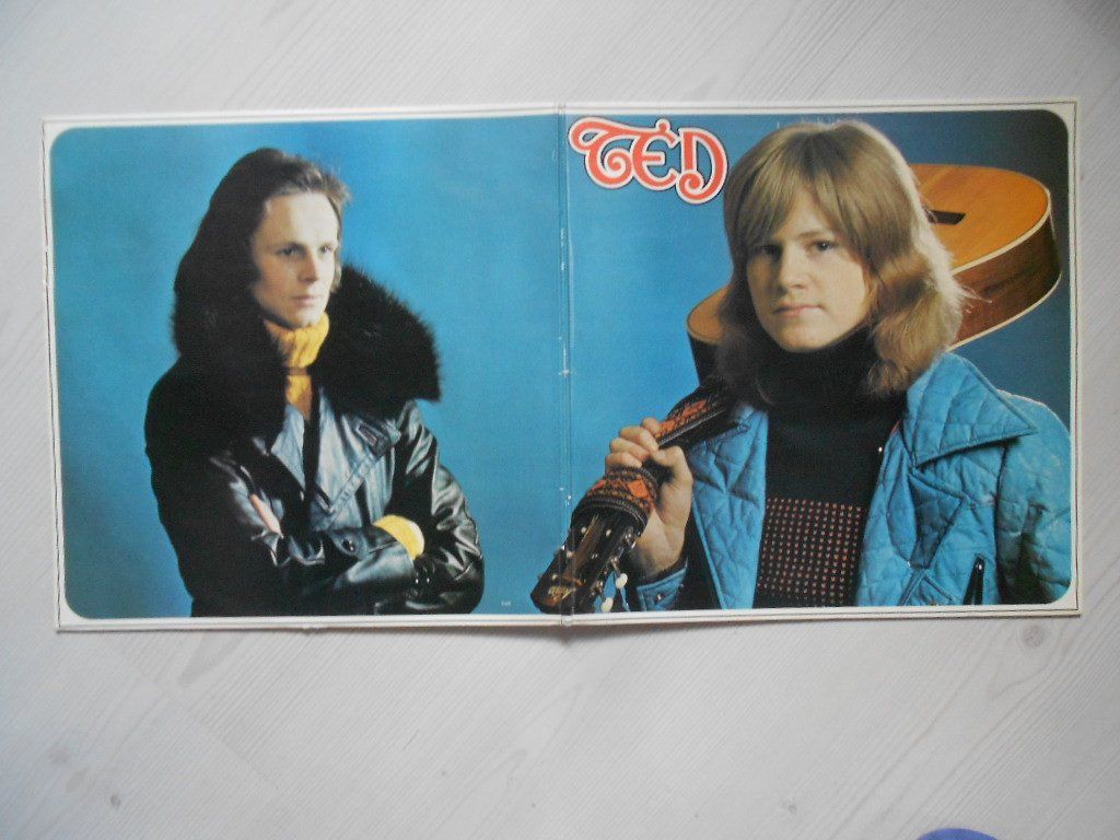 Dischi in vinile: TED GARDESTAD  -  RED – Usato da Bex venduto da Giorgiob 3