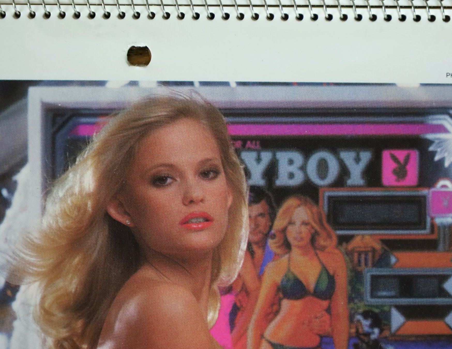 Playboy Calendari: PLAYBOY Kalender 1980 – Usato da Birrwil venduto da brandschatz_birrwil 7