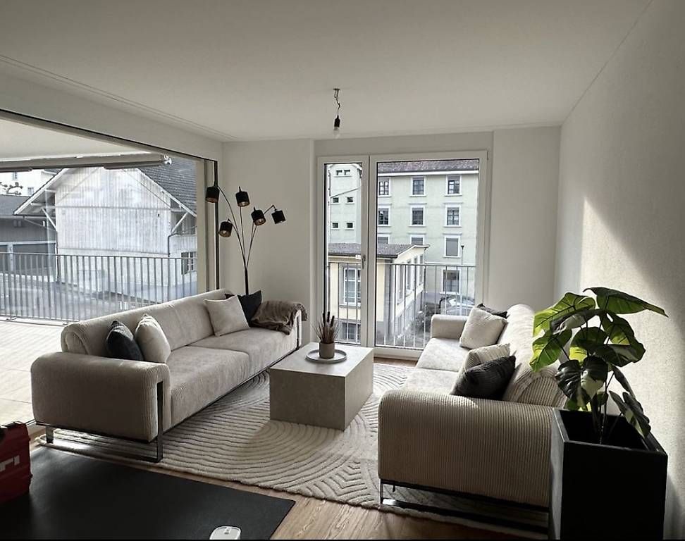 Divani: 2 Moderne Sofa  – Usato da Bischofszell venduto da Ronannigg 1