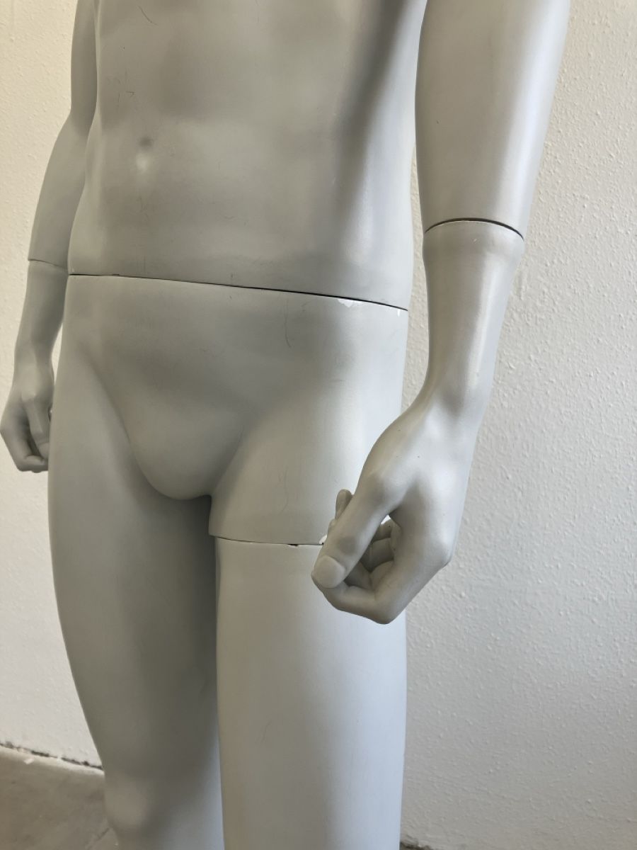 Altro in Decorazioni & Accessori: Schaufensterpuppe Mann grau – Usato da Zürich venduto da eti_6pbl 2