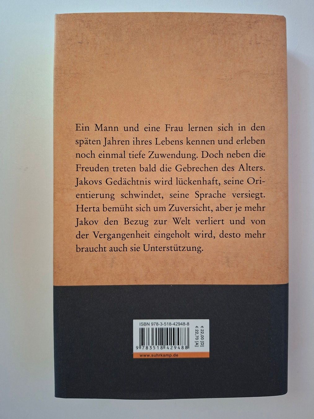 Libri: Urs Faes: Untertags – Usato da Dietikon venduto da Buchantiqdietikon 1