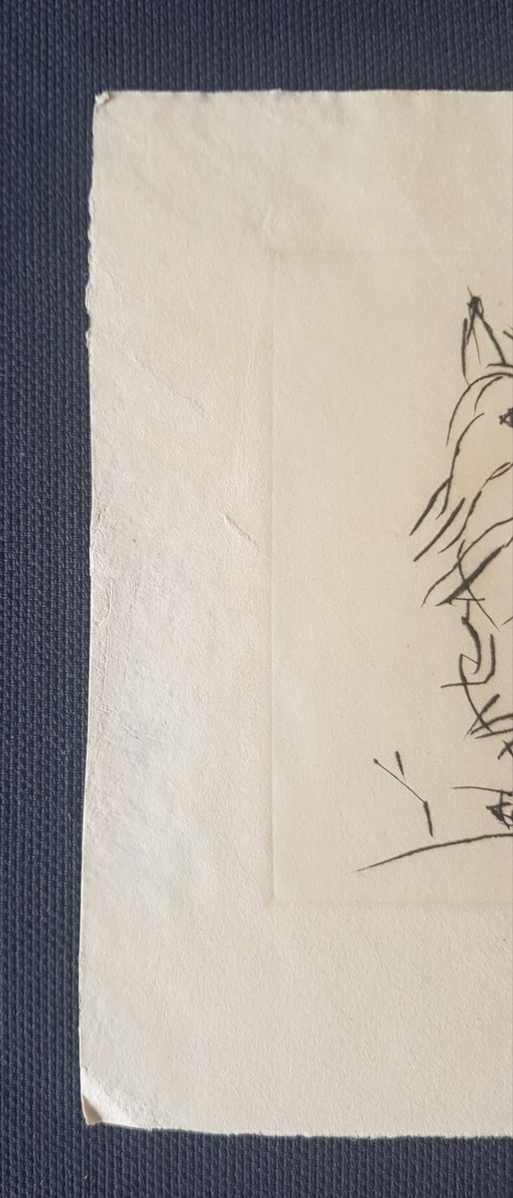 Grafiken & Lithographien: Renée Sintenis - Oscar -   German Art – Gebraucht aus Horw von Kunstreich7 6