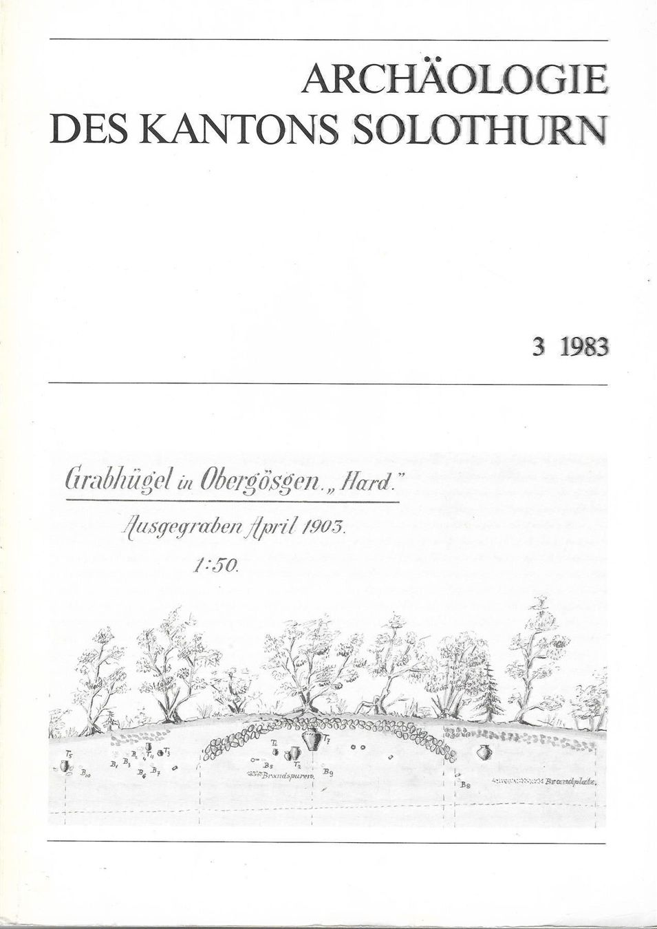 Libri: Archäologie des Kantons Solothurn – Usato da Bern venduto da Grindelwaldaus