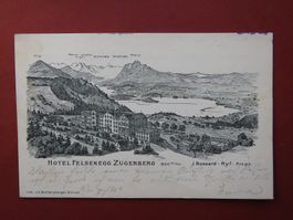 Zugerberg Hotel Felsenegg !