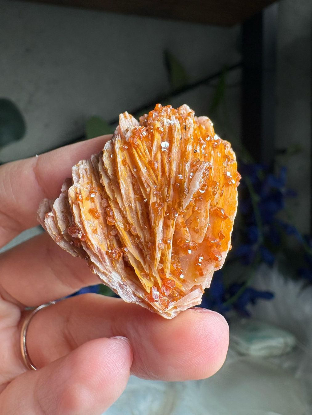 Mineralien & Heilsteine: Vanadinit auf Baryt – Neu (gemäss Beschreibung) aus Neuheim von m.hald 6