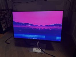 Dell 24 Zoll Monitor *LESEN*