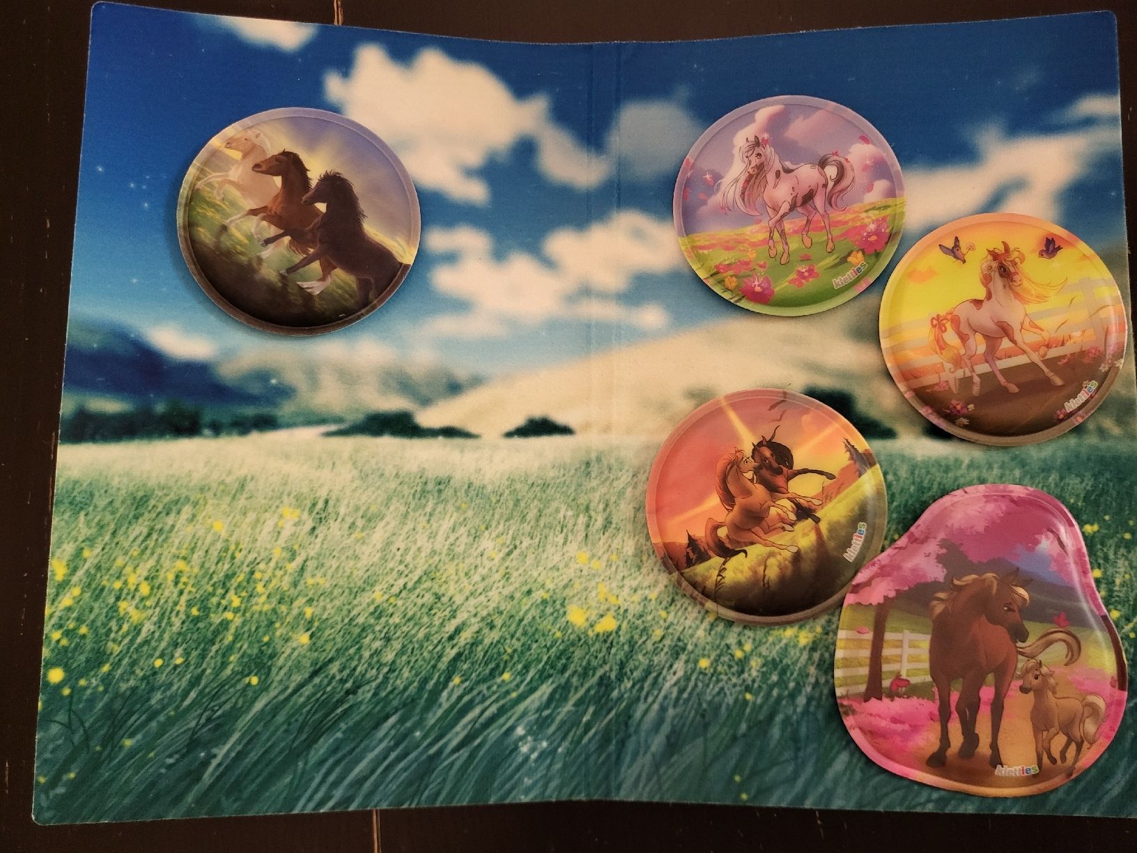 Sticker: Pferdekletties  – Usato da Thun venduto da Reusserlis