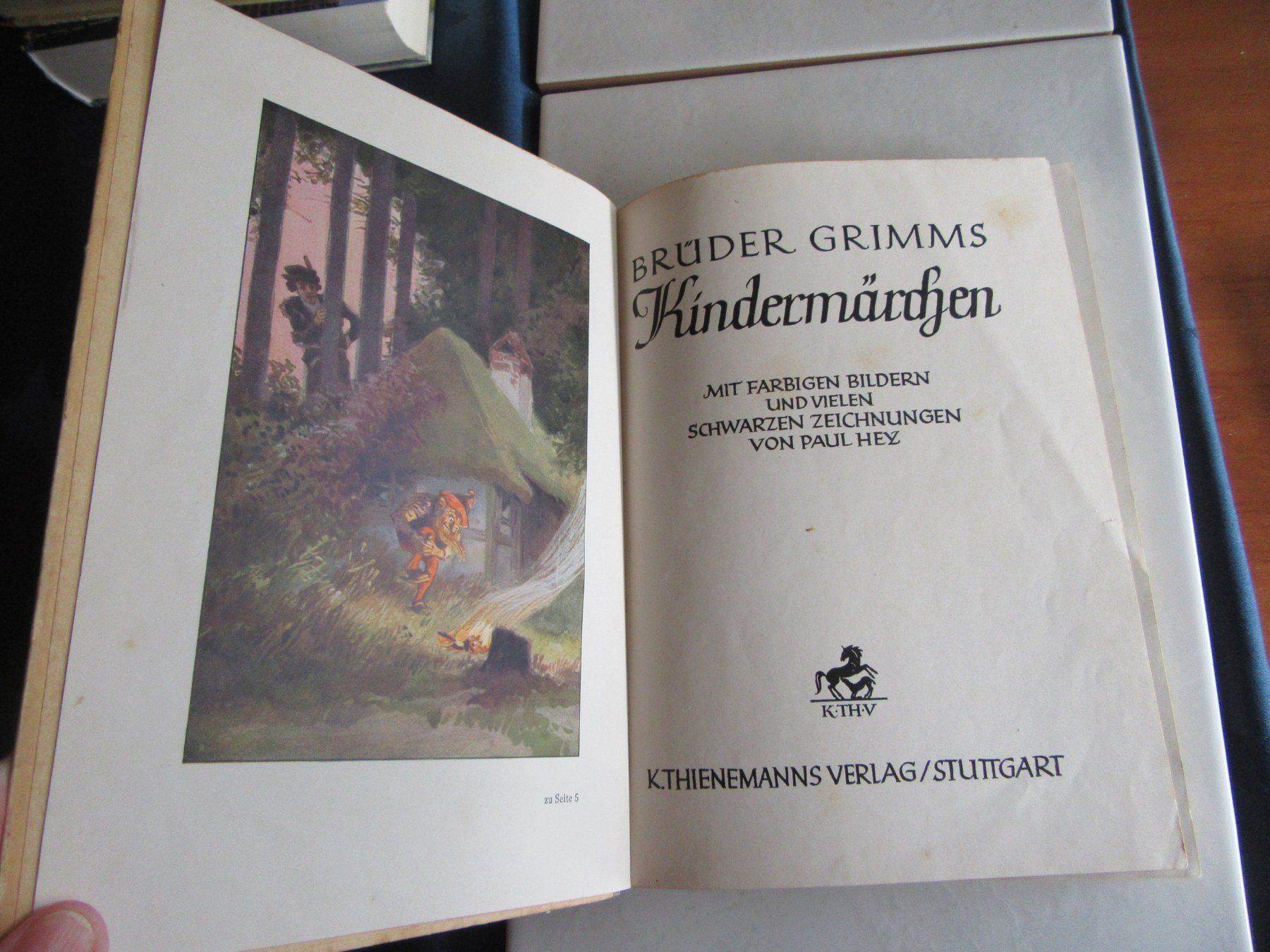 Libri: Brüder Grimms Kindermärchen, altes Buch – Usato da Wattwil venduto da wampi 4