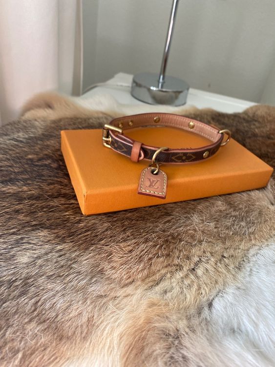 Louis Vuitton Hundehalsband