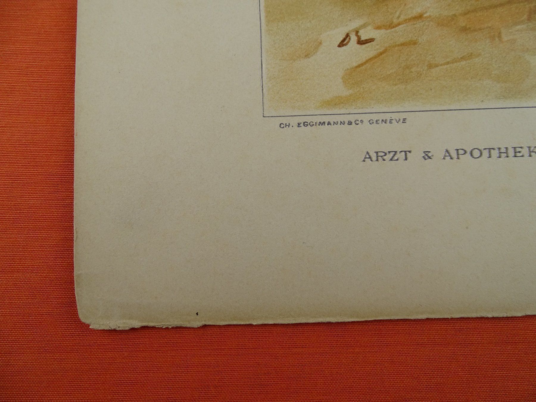 Grafiken & Lithographien: ARZT UND APOTHEKER, LITHOGRAPHIE 1894 – Gebraucht aus Grüningen von Kartensammler 5