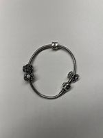 Pandora Armband silber