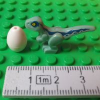 Dinosaurier Baby (grün-blau) und Ei